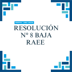 Resolución N°8 baja RAEE